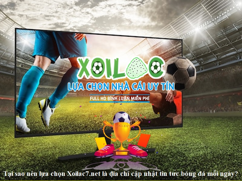 Tại sao nên lựa chọn Xoilac7.net là địa chỉ cập nhật tin tức bóng đá mỗi ngày?
