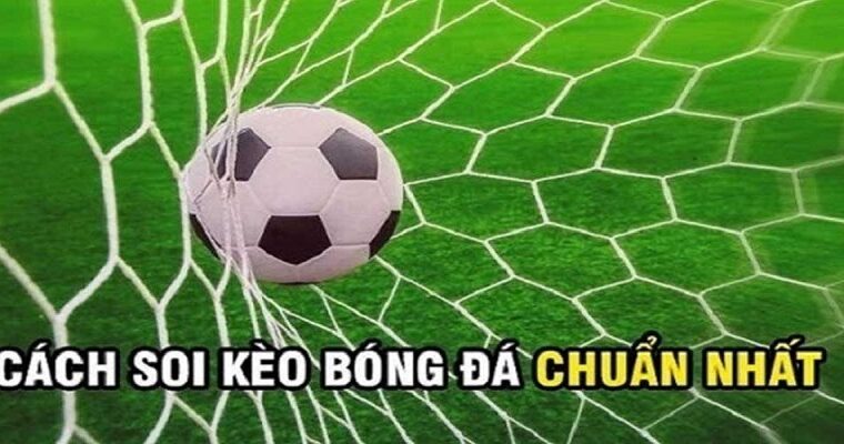 Kèo Chuẩn Tv sẽ giúp bạn nắm được tất tần tật các thông tin về bóng cỏ là gì