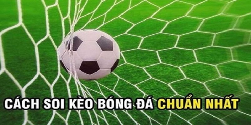 Kèo Chuẩn Tv sẽ giúp bạn nắm được tất tần tật các thông tin về bóng cỏ là gì