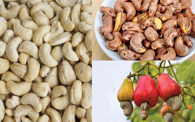 Hạt điều có tác dụng gì? Thực phẩm vàng đối với sức khỏe