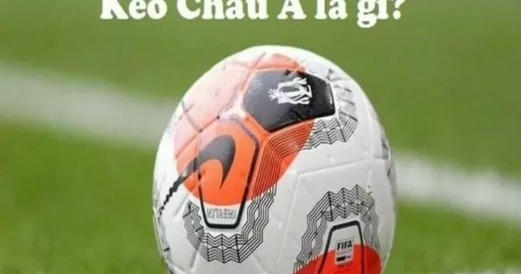 Kèo Châu Á là gì? Hướng dẫn cách đọc kèo chuẩn nhất