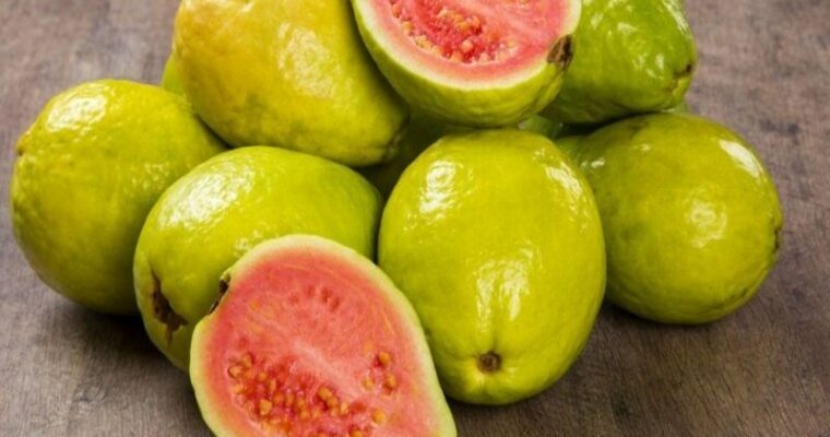1 trái ổi bao nhiêu calo? Ăn ổi mang lại lợi ích gì cho sức khỏe?