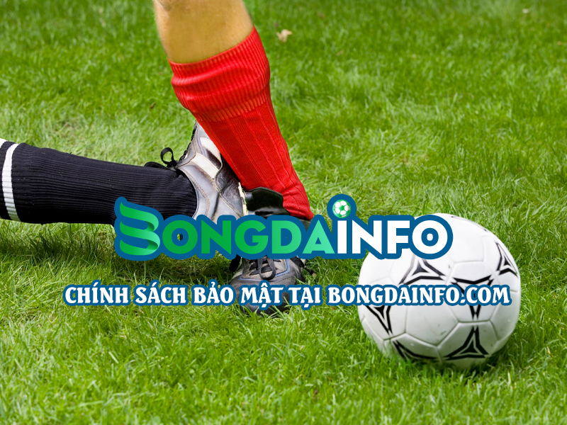 Bongda info – Vũ khí bí mật của cược thủ, nơi keo nhà cái chuẩn chỉnh và soi kèo miễn phí thăng hoa