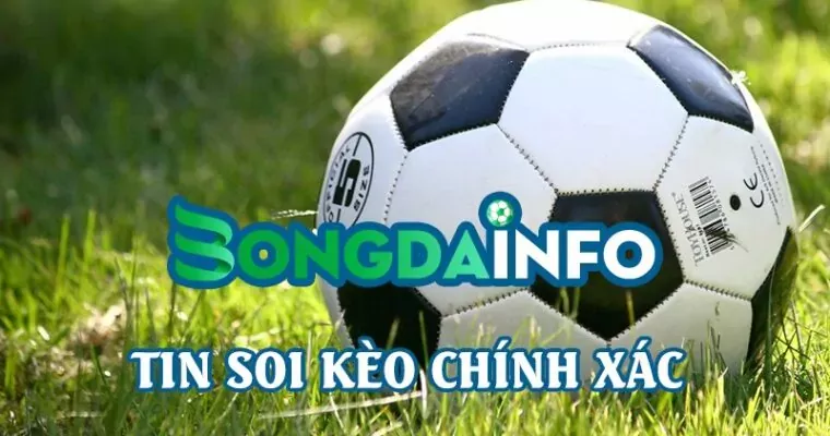 Bongdainfo – Trợ thủ soi kèo thông minh, cập nhật kqbd trực tuyến nhanh nhất cho dân cá cược
