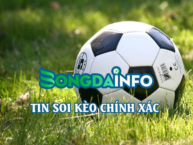 Bongdainfo – Trợ thủ soi kèo thông minh, cập nhật kqbd trực tuyến nhanh nhất cho dân cá cược