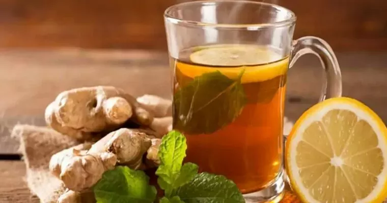 Khám phá các loại trà tốt cho sức khỏe nên dùng thường xuyên